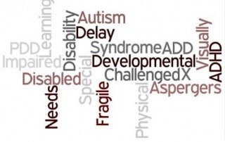 word cloud autism, disabled, developmental, fragile