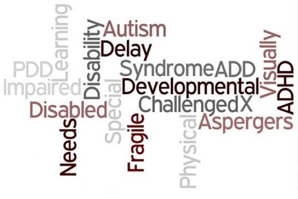 word cloud autism, disabled, developmental, fragile