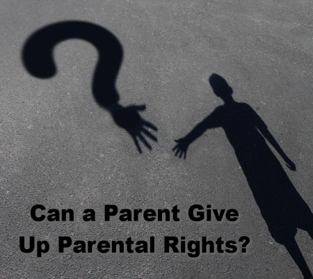 Can A Parent Give Up Parental Rights A People S Choice