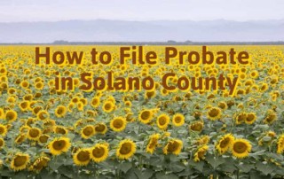 how to file probate in solano county