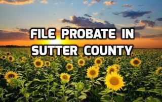file probate in sutter county