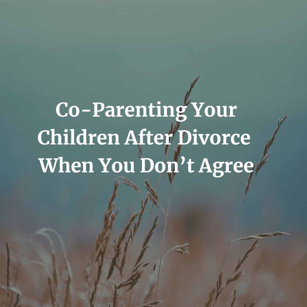 co-parenting children after divorce when you don't agree