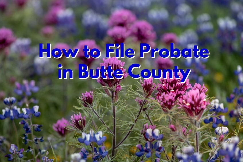 how to file probate in butte county