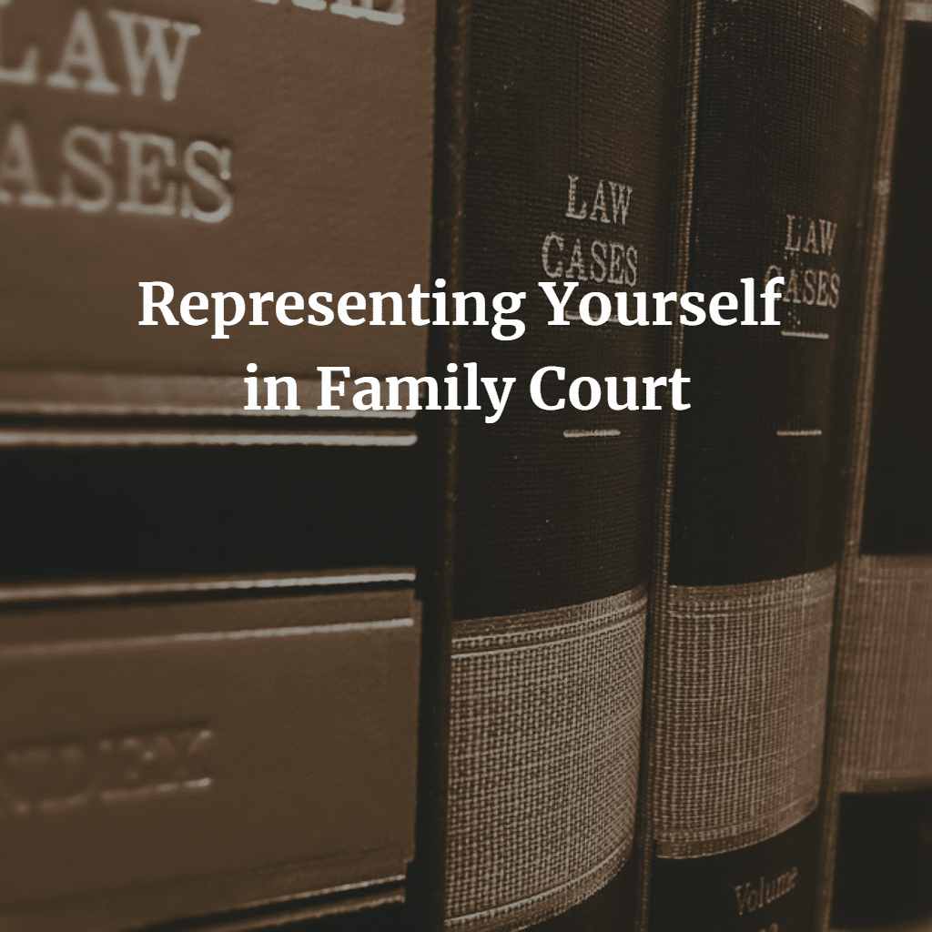 Representing Yourself in Family Court