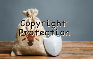 reasons for copyright protection