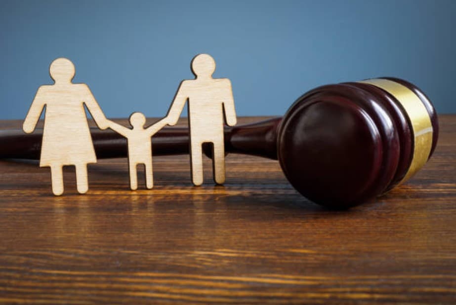 what is guardianship and conservatorship