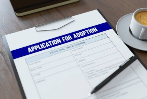 How much does adoption cost in California?
